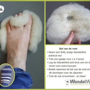 Wandelwol 10gram